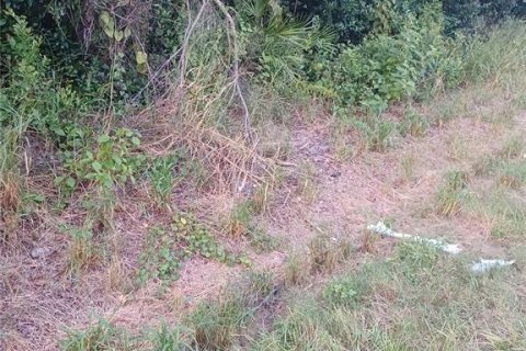 Terreno en DeBary, Florida № 2123623