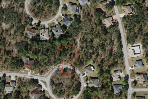 Land in Homosassa, Florida № 2162338 - photo 5