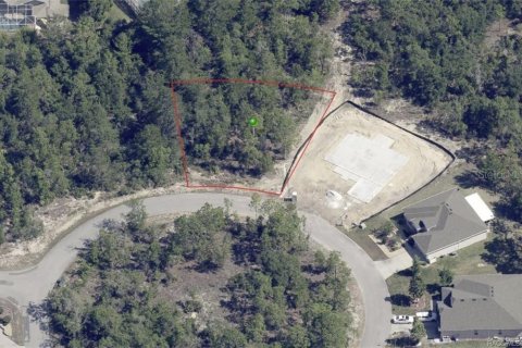 Land in Homosassa, Florida № 2162338