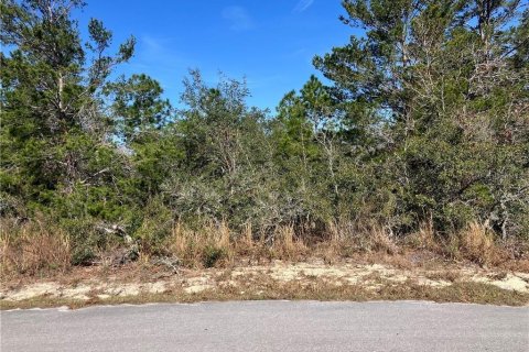 Land in Homosassa, Florida № 2162338 - photo 2