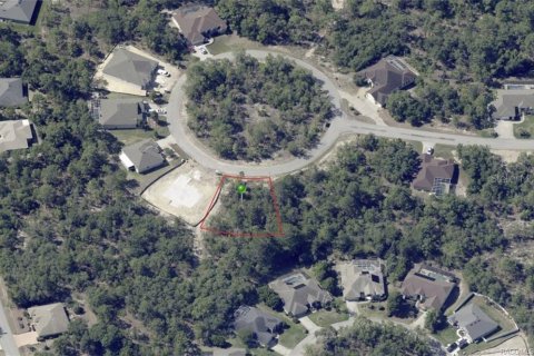 Land in Homosassa, Florida № 2162338 - photo 3