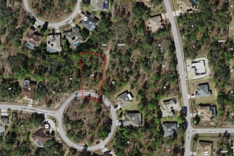 Land in Homosassa, Florida № 2162338 - photo 7