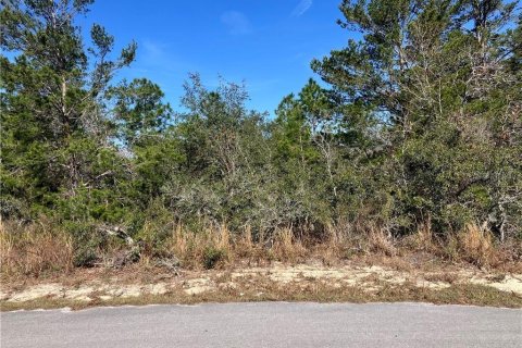 Land in Homosassa, Florida № 2162338 - photo 8