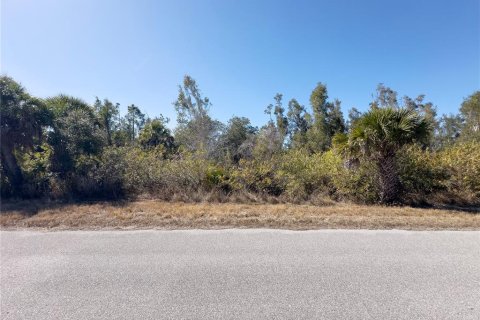 Land in Port Charlotte, Florida № 2163347