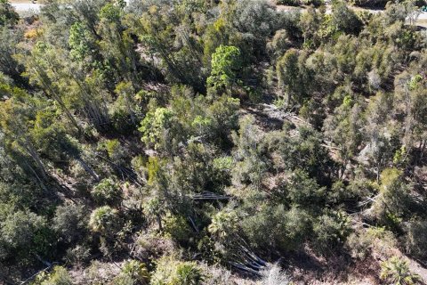 Land in Port Charlotte, Florida № 2163347 - photo 3