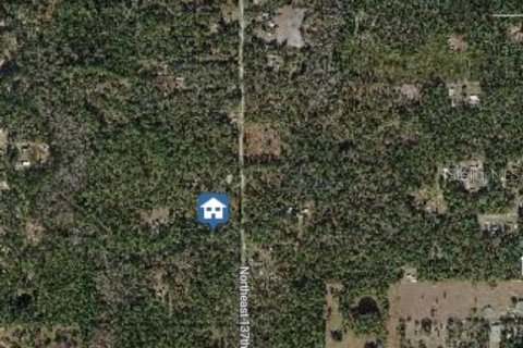 Land in Fort MC Coy, Florida № 2161940 - photo 3