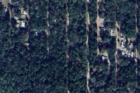 Land in Fort MC Coy, Florida № 2161940 - photo 4