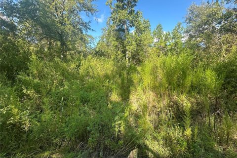 Land in Fort MC Coy, Florida № 2161940 - photo 8