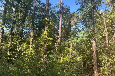 Land in Fort MC Coy, Florida № 2161940