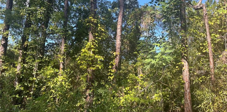Land in Fort MC Coy, Florida № 2161940