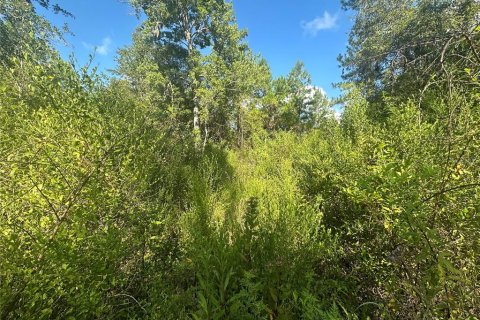 Land in Fort MC Coy, Florida № 2161940 - photo 7