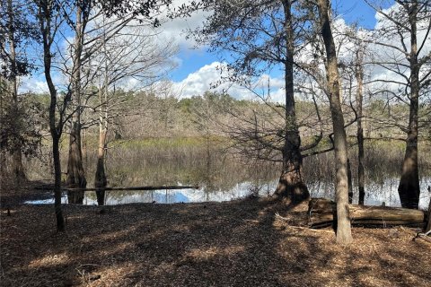 Land in Fort MC Coy, Florida № 2161940 - photo 14