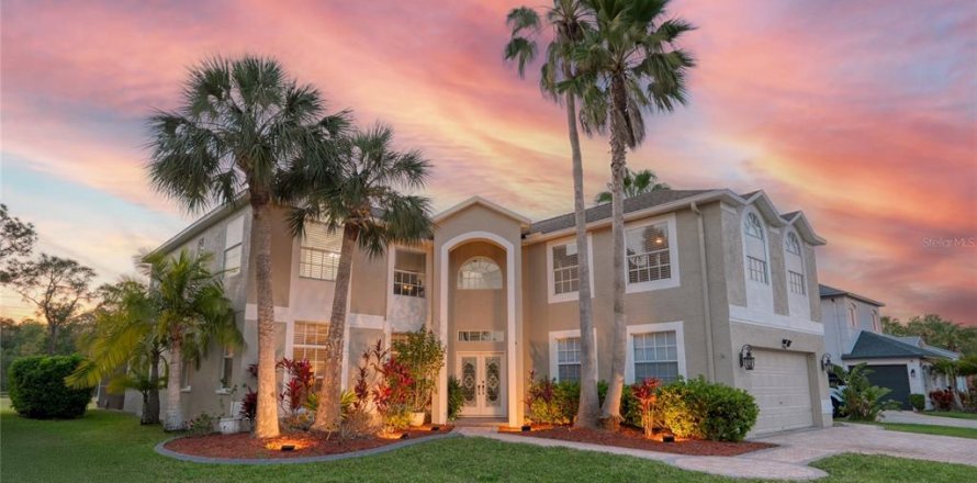 House in Odessa, Florida 5 bedrooms, 343 sq.m. № 1584122
