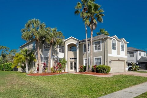 House in Odessa, Florida 5 bedrooms, 343 sq.m. № 1584122 - photo 2
