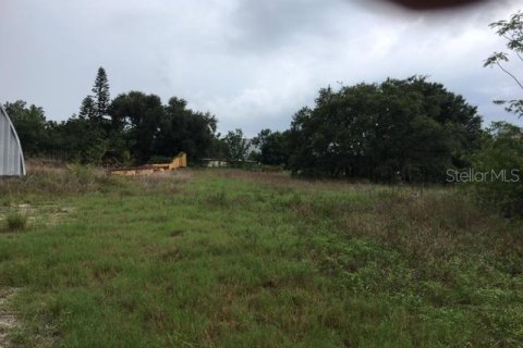 Propiedad comercial en venta en Auburndale, Florida № 213027 - foto 2