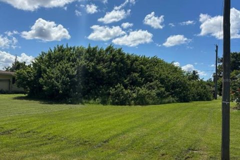 Land in Port Charlotte, Florida № 2161579 - photo 3