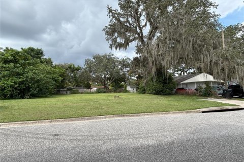 Land in Orlando, Florida № 1905453 - photo 1