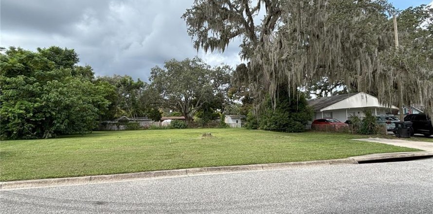 Land in Orlando, Florida № 1905453