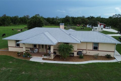 House in Arcadia, Florida 3 bedrooms, 161.65 sq.m. № 1844554 - photo 1