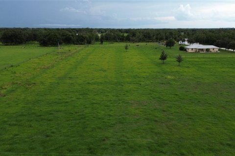 House in Arcadia, Florida 3 bedrooms, 161.65 sq.m. № 1844554 - photo 13