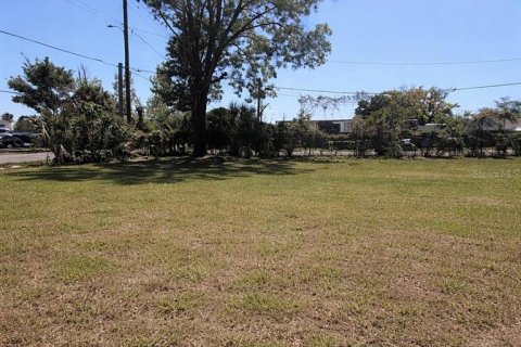 Terrain à vendre à Tampa, Floride № 2205944 - photo 3