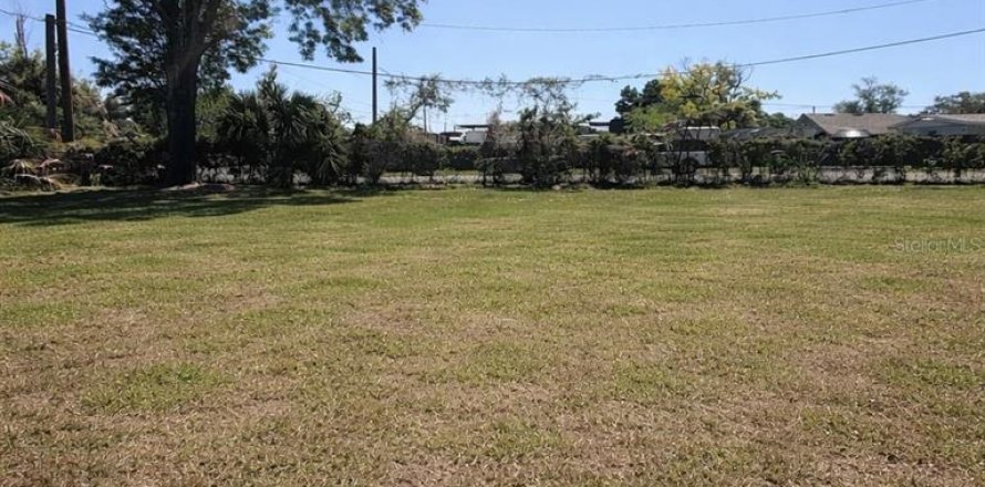 Terrain à Tampa, Floride № 2205944