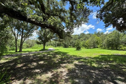 Land in Palm Harbor, Florida № 2350256