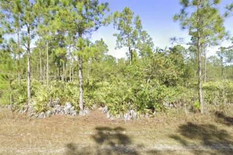 Land in Indian lake estates, Florida № 2160922
