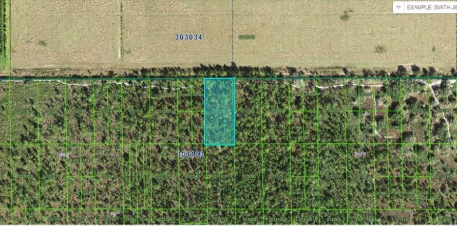 Land in Lake Wales, Florida № 2158873