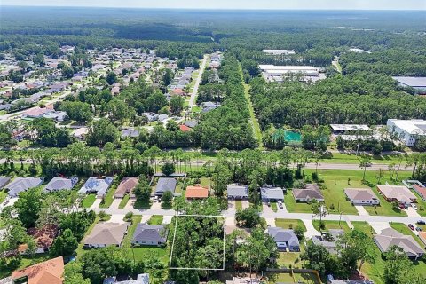 Land in Palm Coast, Florida № 2206971 - photo 16