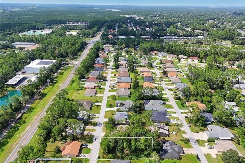 Land in Palm Coast, Florida № 2206971 - photo 14