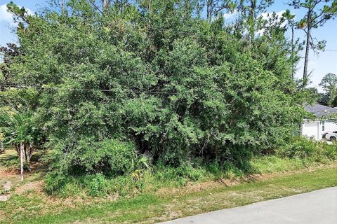 Land in Palm Coast, Florida № 2206971 - photo 2
