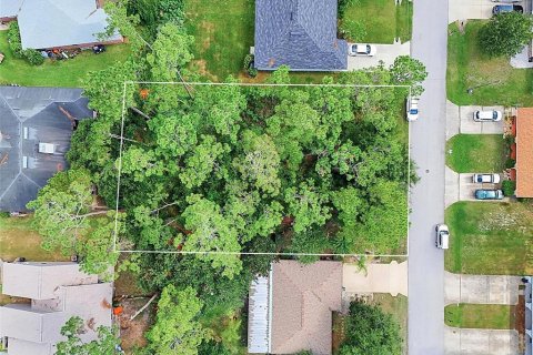 Land in Palm Coast, Florida № 2206971 - photo 10