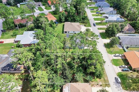 Land in Palm Coast, Florida № 2206971 - photo 9