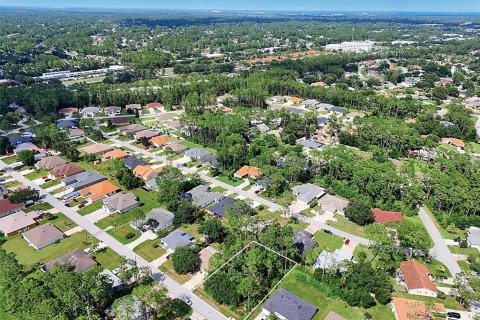 Land in Palm Coast, Florida № 2206971 - photo 13