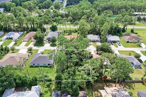 Land in Palm Coast, Florida № 2206971 - photo 7