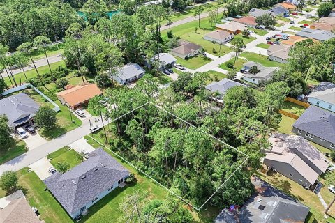 Land in Palm Coast, Florida № 2206971 - photo 6