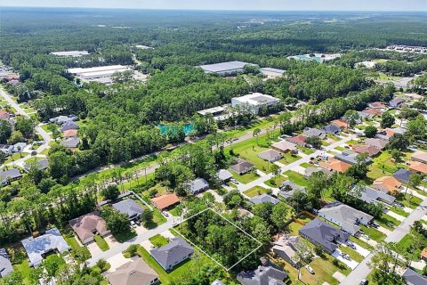 Land in Palm Coast, Florida № 2206971 - photo 15