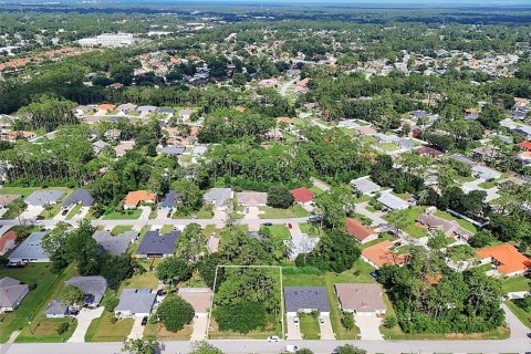 Land in Palm Coast, Florida № 2206971 - photo 12