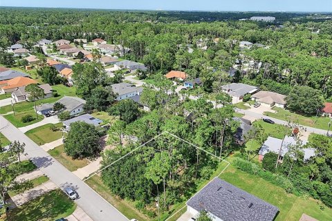 Land in Palm Coast, Florida № 2206971 - photo 4