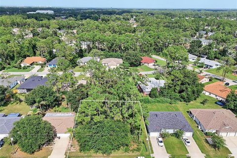 Land in Palm Coast, Florida № 2206971 - photo 3