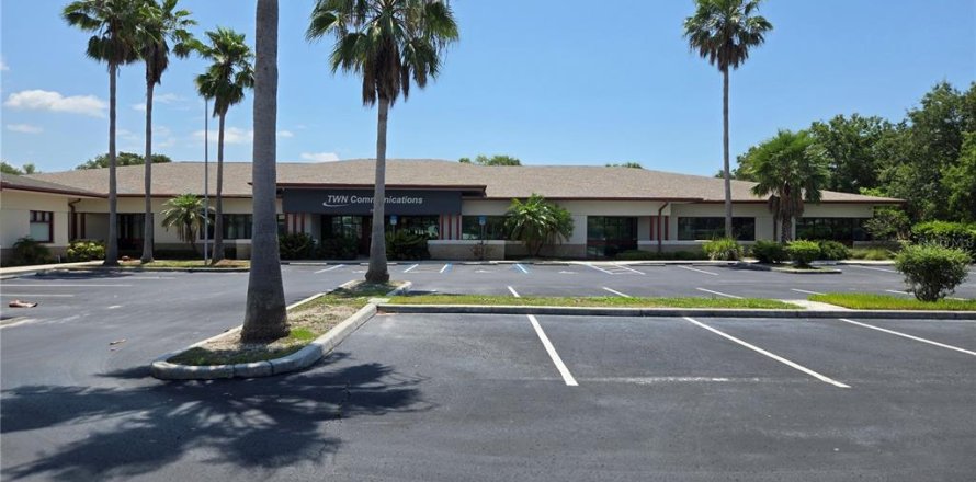 Propiedad comercial en Oldsmar, Florida 1606.37 m2 № 1760196