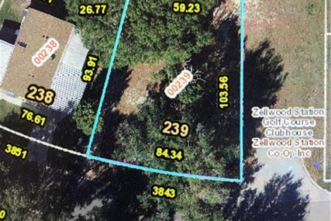 Land in Zellwood, Florida № 2162959