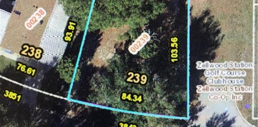 Land in Zellwood, Florida № 2162959