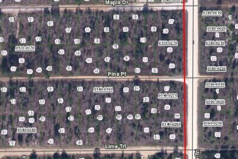 Land in Interlachen, Florida № 2165293 - photo 2