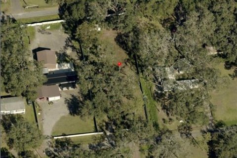 Terrain à vendre à Seffner, Floride № 2147859 - photo 6