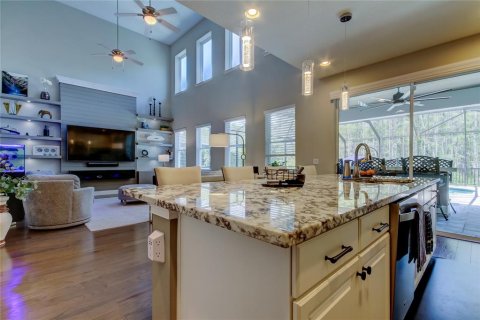 House in Odessa, Florida 4 bedrooms, 252.42 sq.m. № 1654666 - photo 19