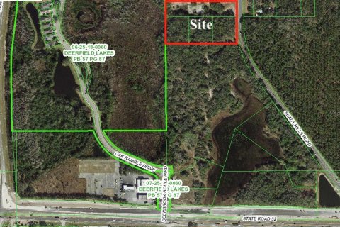 Land in Spring Hill, Florida № 1841675 - photo 2