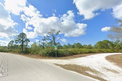 Land in Punta Gorda, Florida № 2228560 - photo 4