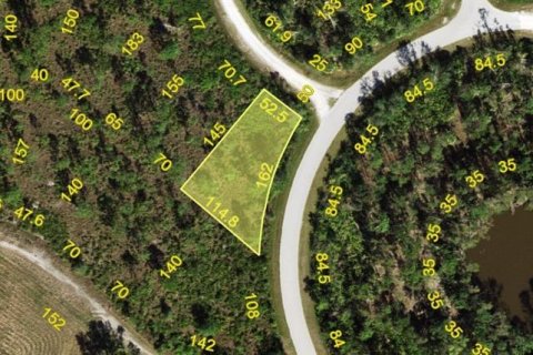 Land in Punta Gorda, Florida № 2228560 - photo 7